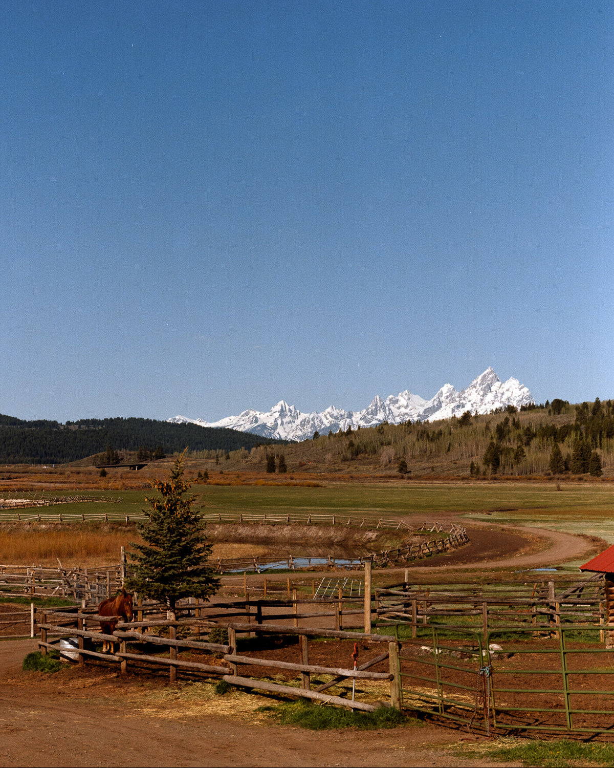 Teton Ranch